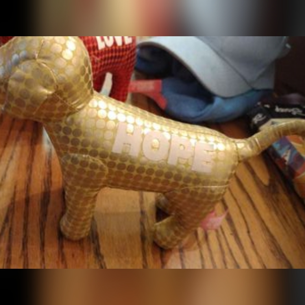 Victoria Secret dogs